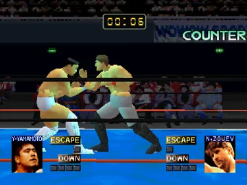 Fighting Network Rings (JP) screen shot game playing